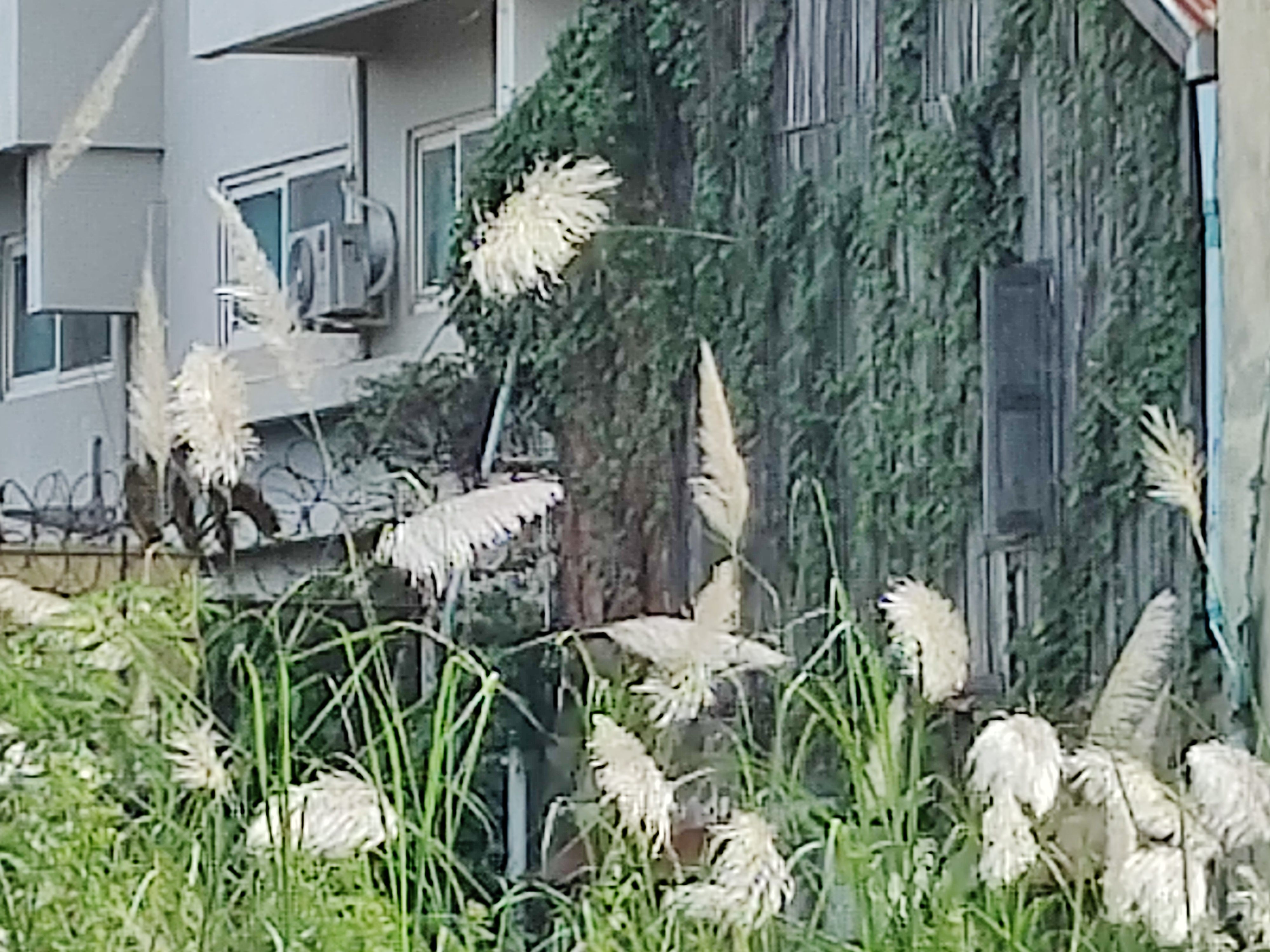 Vekkelsen er større enn vi trodde